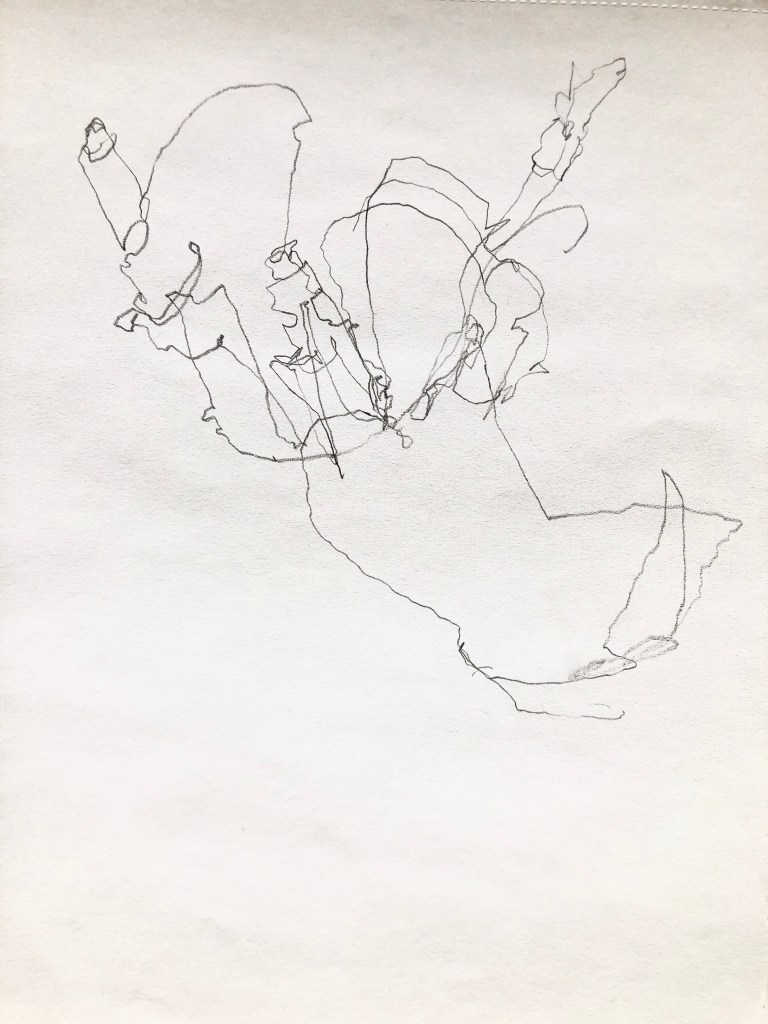 To show the line quality of a blind contour drawing
